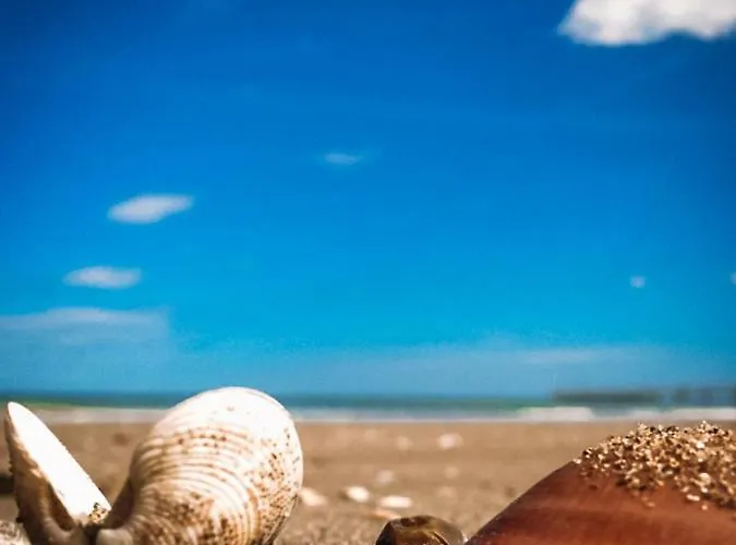 Romantica 3* רימיני